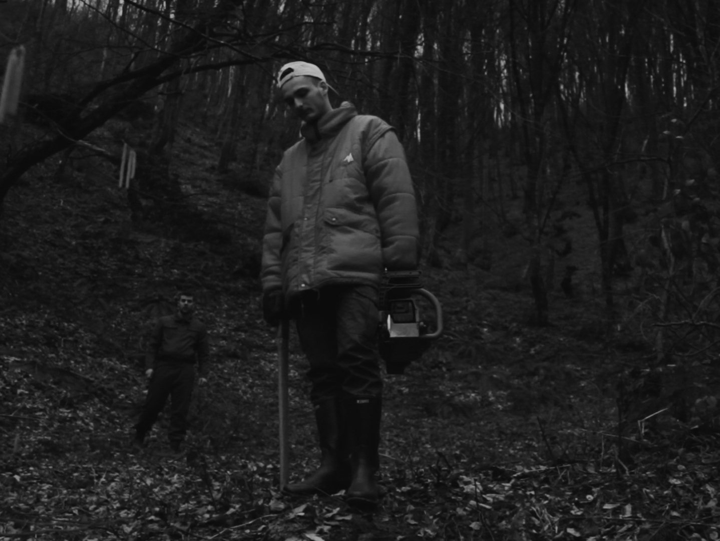 Logs — Bosnia and Herzegovina, 2016. Still by Aid Besic